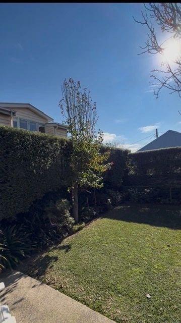 Green lawn and garden beds after a maintenance visit