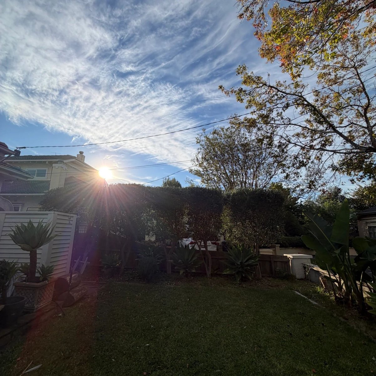 Freshly mowed backyard lawn at golden hour, edged and tidied