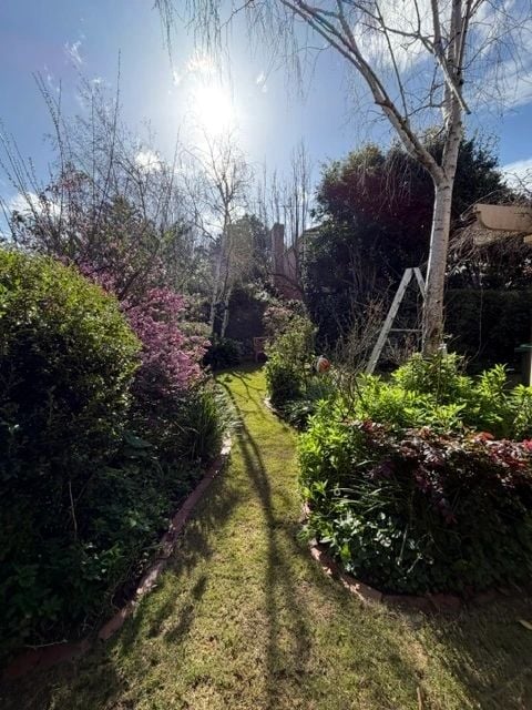 Backyard lawn with flowering shrubs and tidy garden borders