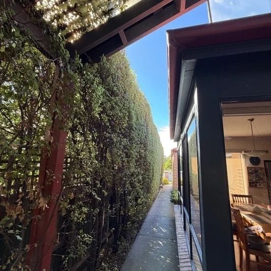Tall hedge trimmed flat and square beside a house