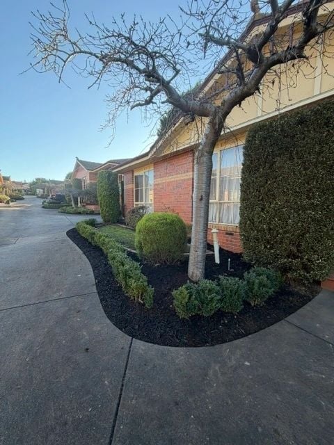 Neatly shaped shrubs and clean mulch edging along a driveway